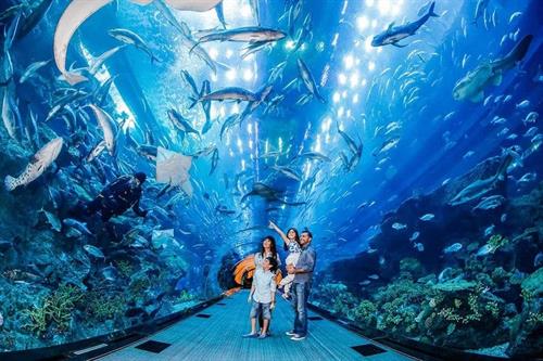Tour Nha Trang: Vinpearl - Tháp Bà Ponagar - Viện Hải Dương Học - Chợ Đầm